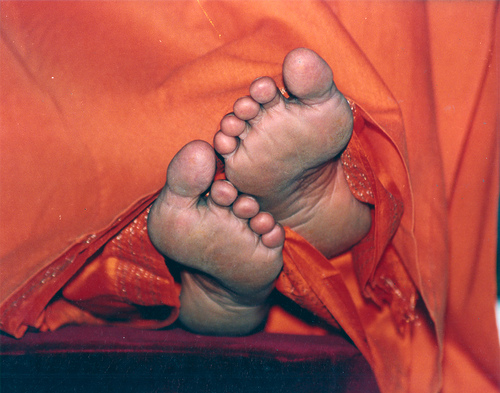 Brahmarishi Mohanji - At the Feet of The Master - Humble prostrations at the feet of the great Master.jpg
